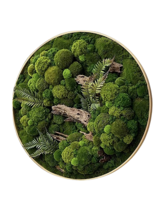 Moss Orb Plant Wall Feature
