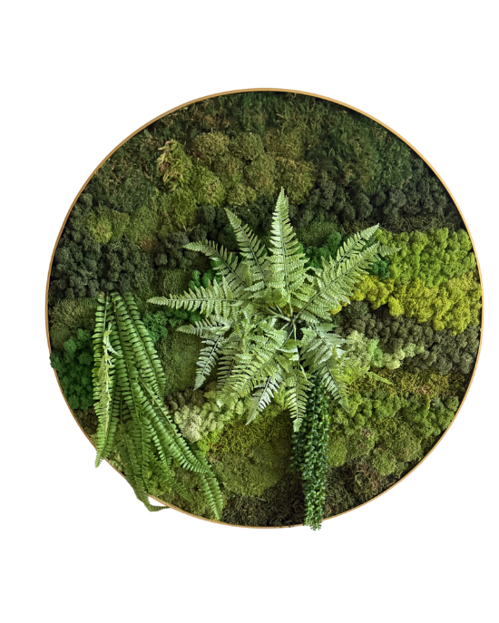 Moss Wall Art (Gold Round Frame)